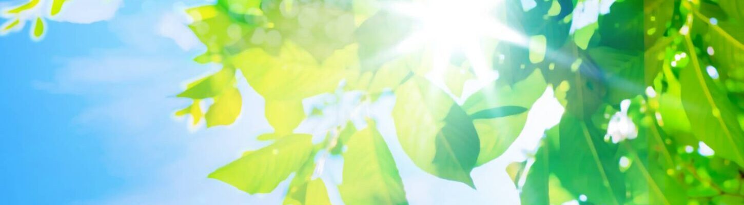 プライバシーポリシー